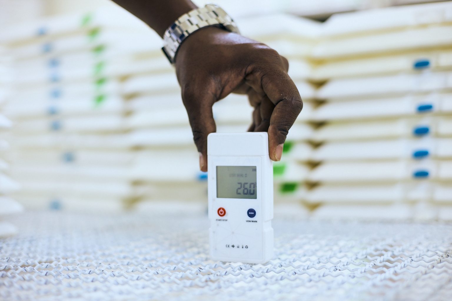 Technician checking a temperature monitoring device on packed cold chain boxes